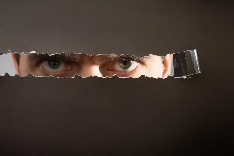 Watcher in the Walls